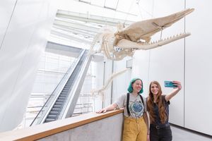 Zwei Museumsbesucherinnen machen ein Selfie vor dem Walskelett im Foyer des OZEANEUMs.